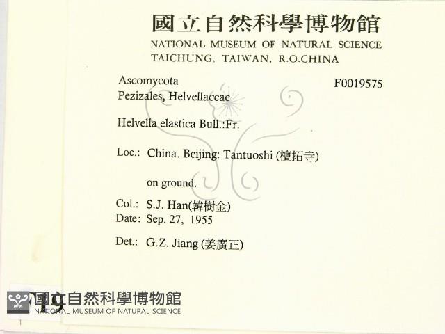登錄號:F0019575藏品圖，第2張