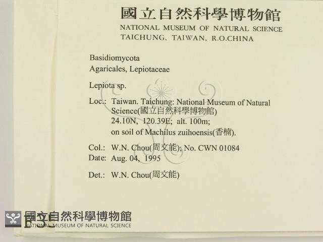 登錄號:F0003575藏品圖，第2張