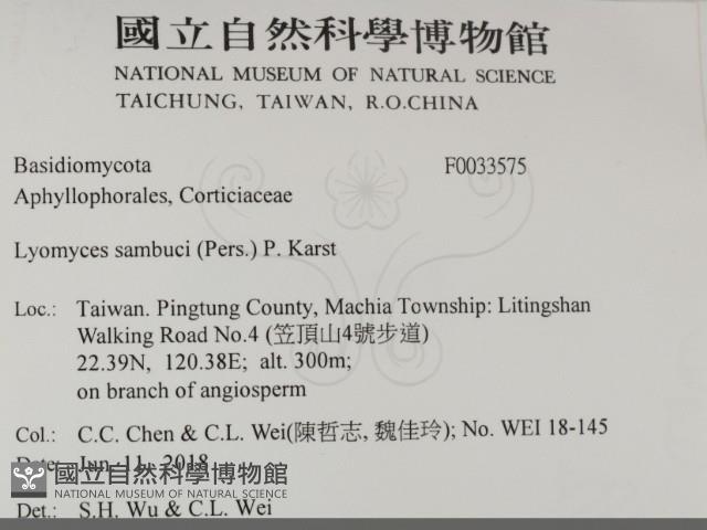 登錄號:F0033575藏品圖，第2張