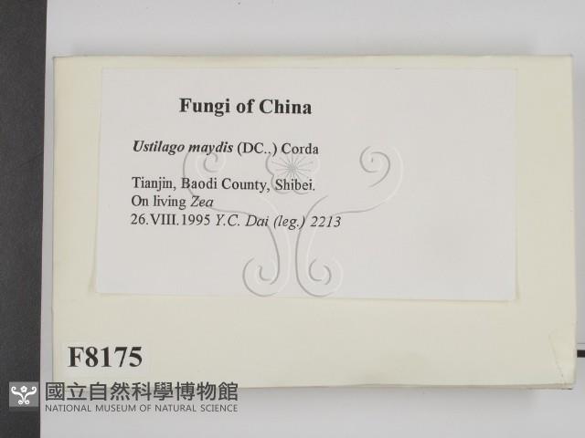 登錄號:F0008175藏品圖，第2張