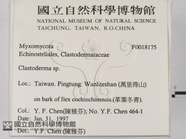 登錄號:F0018175藏品圖，第2張