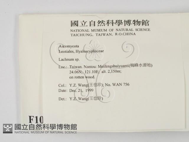 登錄號:F0010175藏品圖，第2張