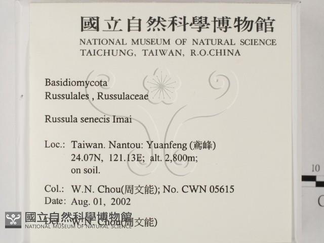 登錄號:F0016175藏品圖，第2張
