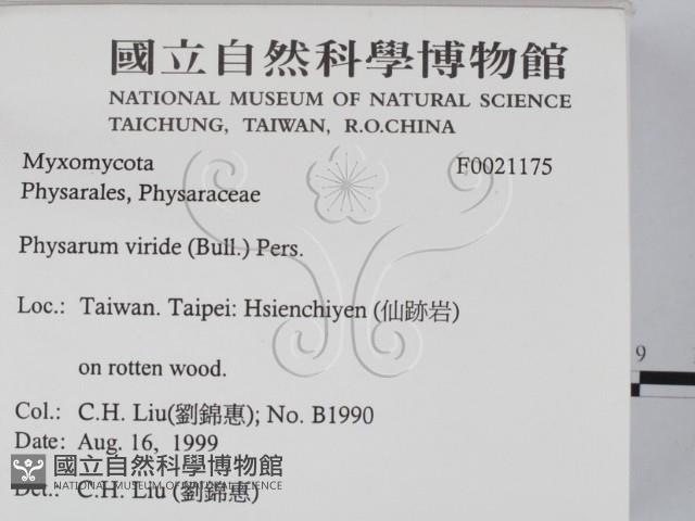登錄號:F0021175藏品圖，第2張