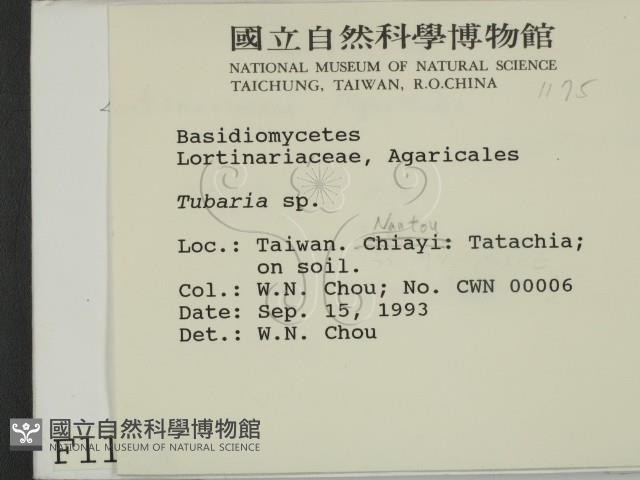 登錄號:F0001175藏品圖，第2張