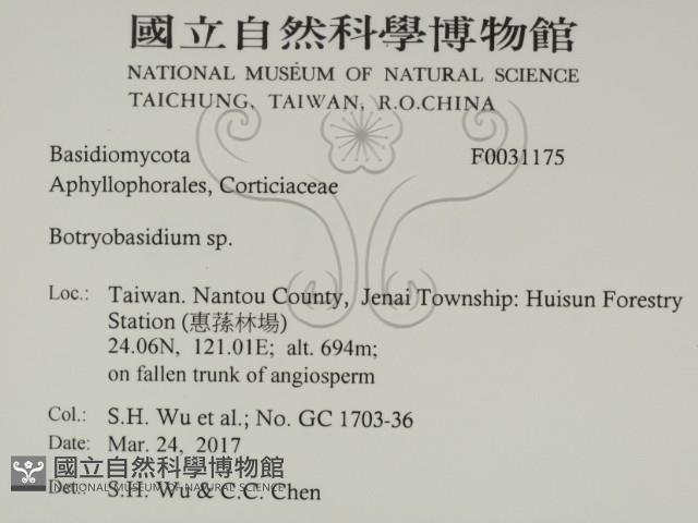 登錄號:F0031175藏品圖，第2張