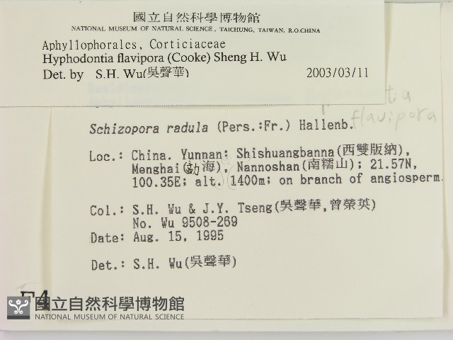 登錄號:F0004175藏品圖，第2張