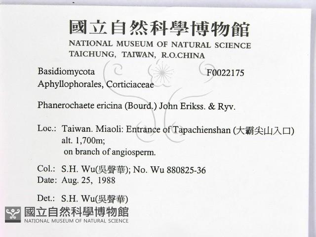 登錄號:F0022175藏品圖，第2張