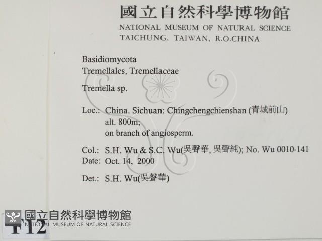 銀耳屬藏品圖，第2張