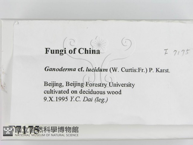 登錄號:F0007175藏品圖，第2張