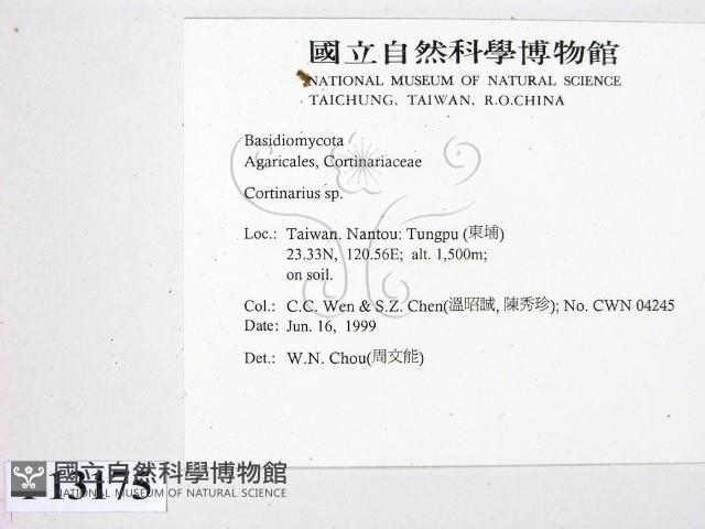 登錄號:F0013175藏品圖，第2張