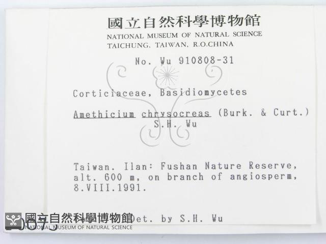 登錄號:F0000075藏品圖，第2張