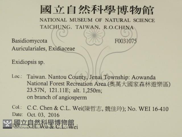 登錄號:F0031075藏品圖，第2張