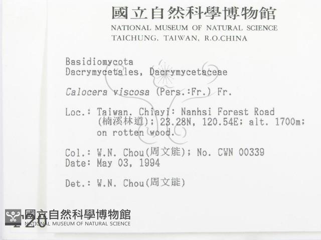 登錄號:F0002075藏品圖，第2張