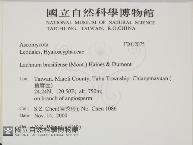 登錄號:F0012075藏品圖，第2張