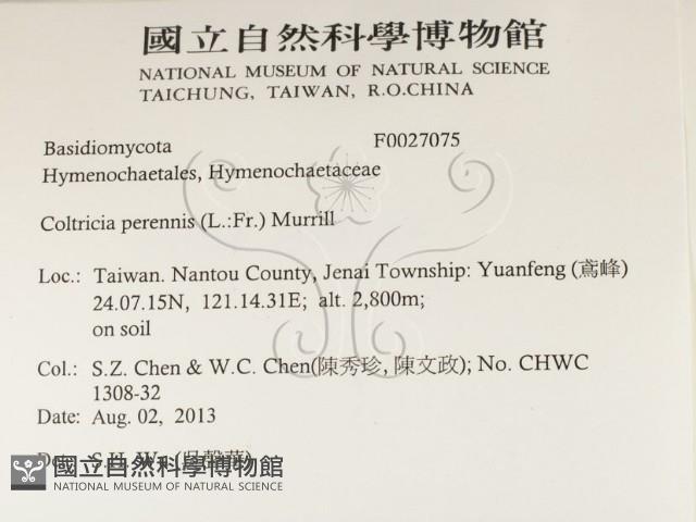 登錄號:F0027075藏品圖，第2張