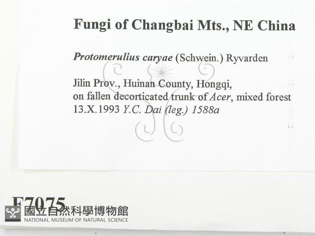 登錄號:F0007075藏品圖，第2張