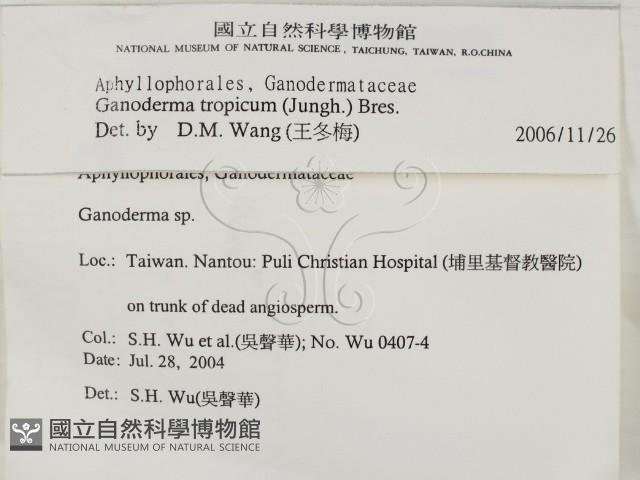登錄號:F0017075藏品圖，第2張