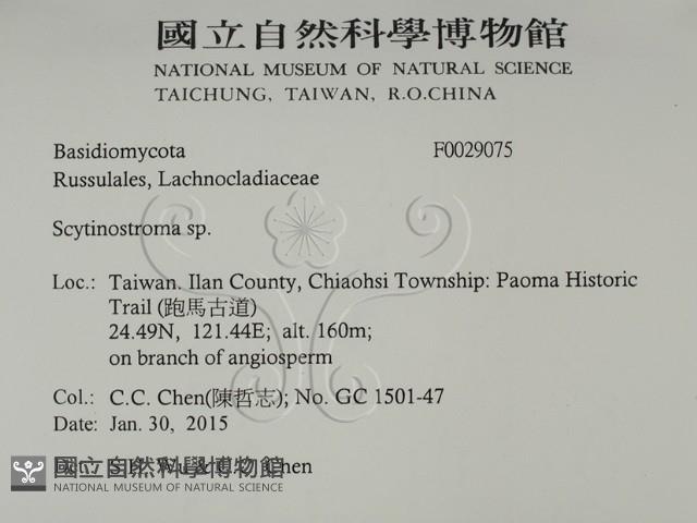 登錄號:F0029075藏品圖，第2張