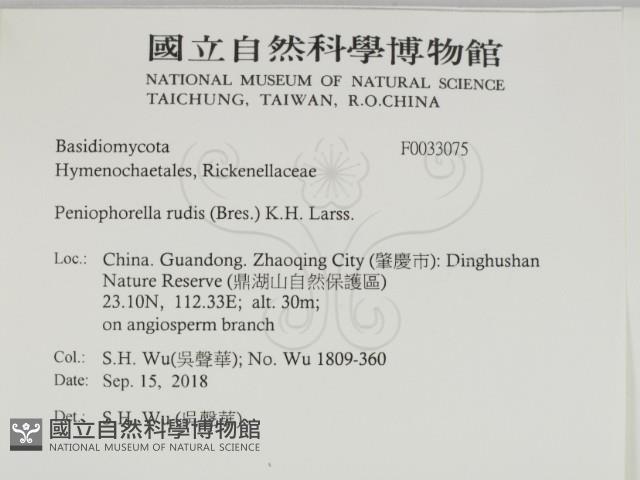 登錄號:F0033075藏品圖，第2張