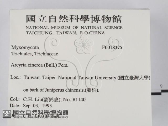 登錄號:F0018375藏品圖，第2張