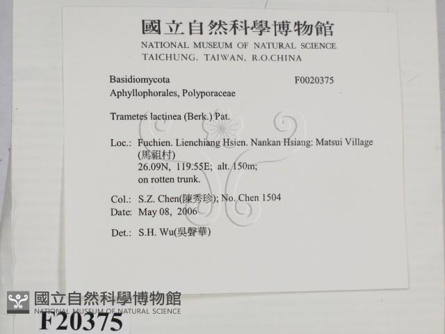登錄號:F0020375藏品圖，第2張