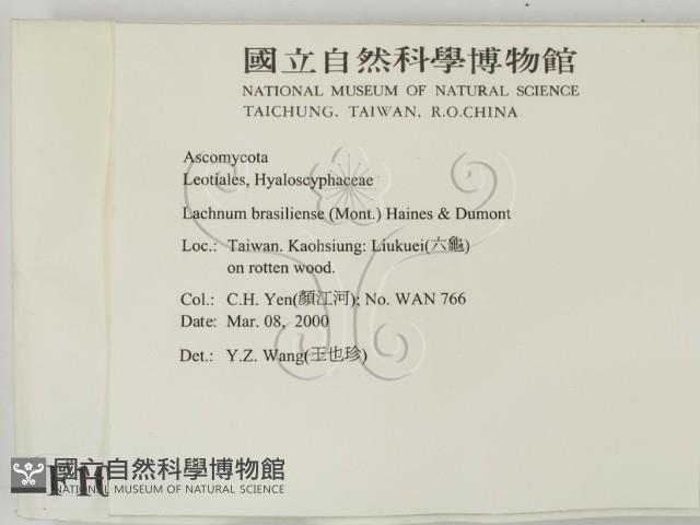 登錄號:F0010375藏品圖，第2張