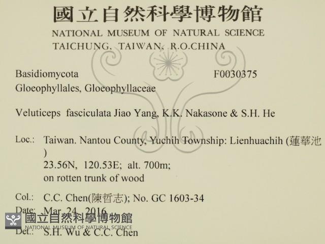 登錄號:F0030375藏品圖，第2張