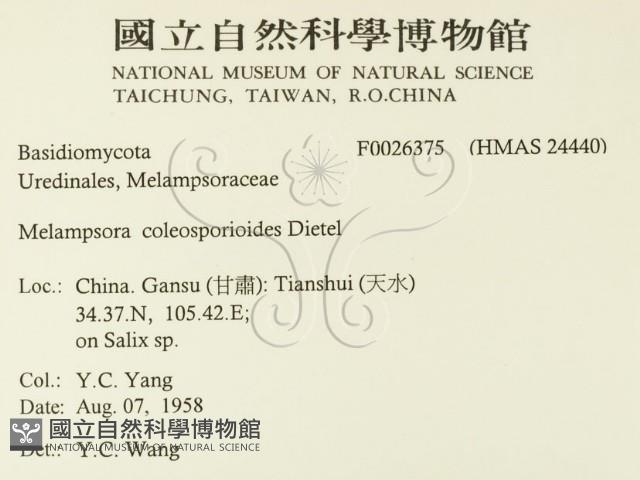 登錄號:F0026375藏品圖，第2張