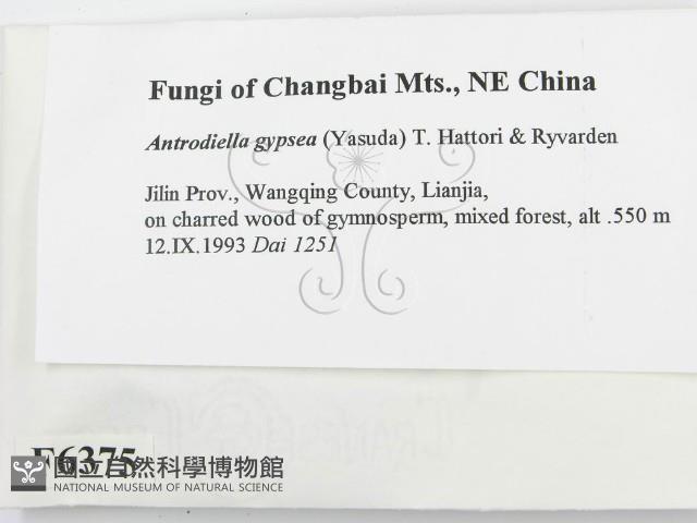 登錄號:F0006375藏品圖，第2張