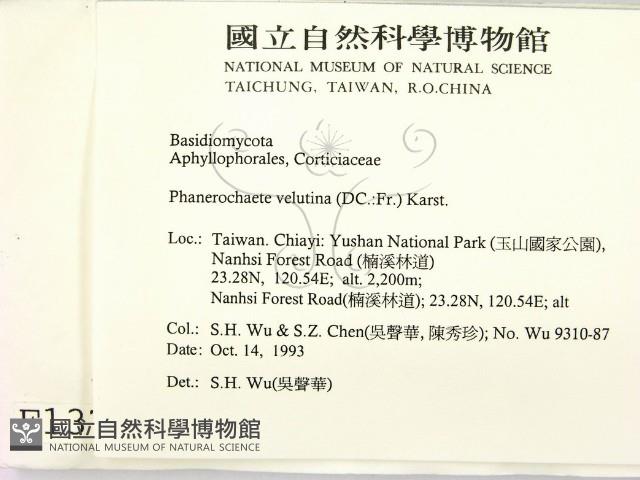 登錄號:F0001375藏品圖，第2張