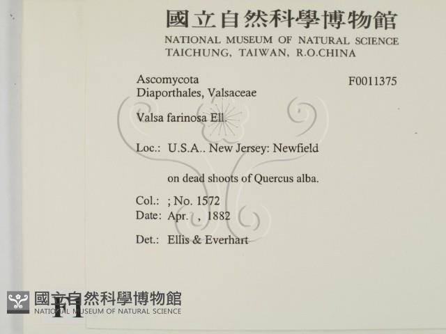 登錄號:F0011375藏品圖，第2張