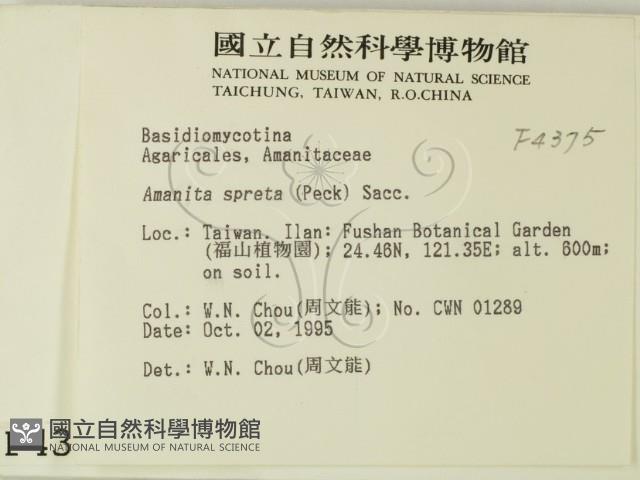 登錄號:F0004375藏品圖，第2張
