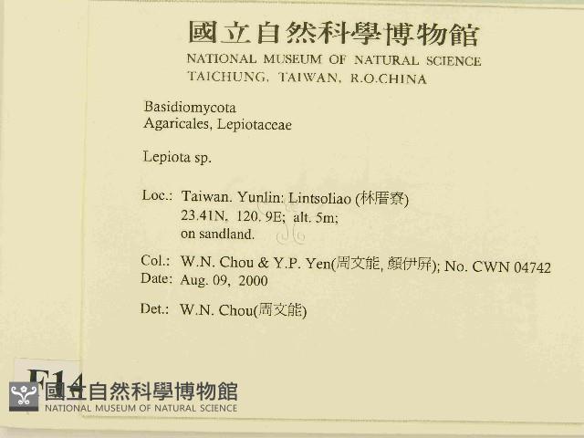 登錄號:F0014375藏品圖，第2張