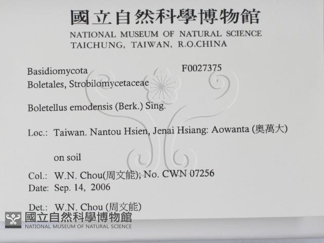 登錄號:F0027375藏品圖，第2張