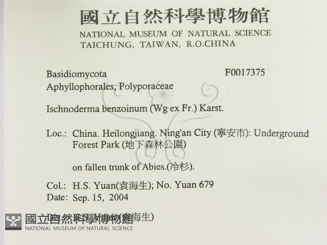 登錄號:F0017375藏品圖，第2張