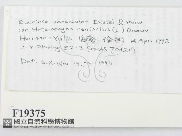 登錄號:F0019375藏品圖，第2張