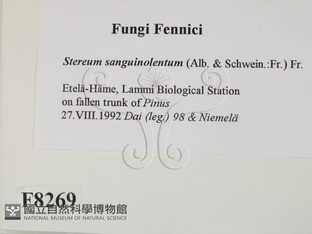 登錄號:F0008269藏品圖，第2張