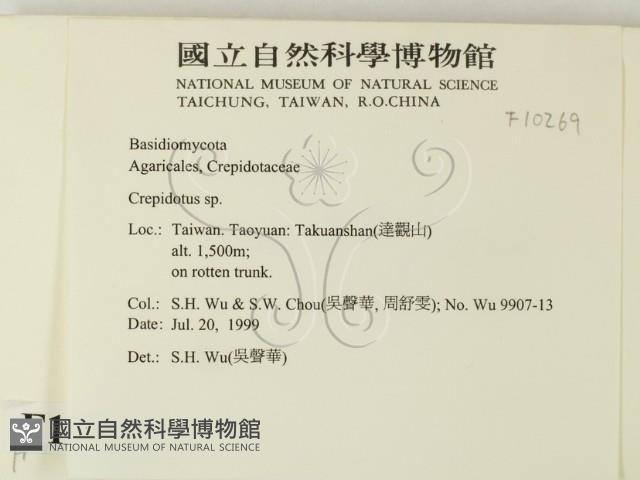 登錄號:F0010269藏品圖，第2張