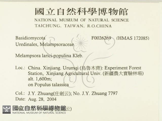 登錄號:F0026269藏品圖，第2張