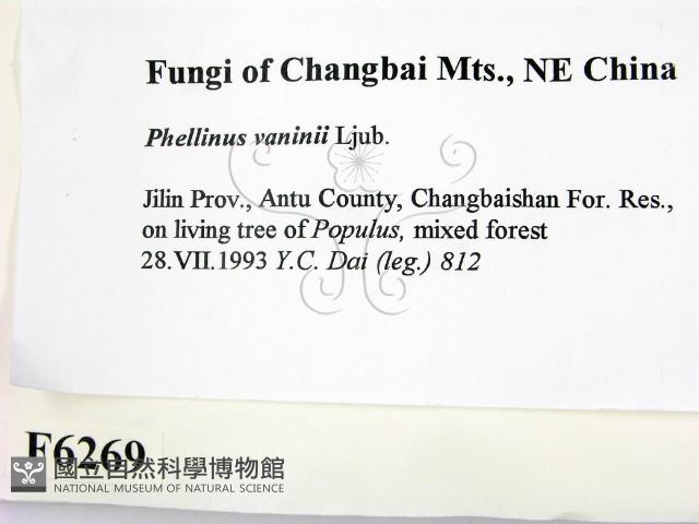 登錄號:F0006269藏品圖，第2張