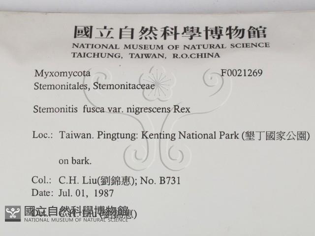 登錄號:F0021269藏品圖，第2張