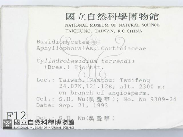 登錄號:F0001269藏品圖，第2張