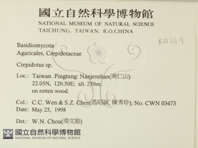 登錄號:F0011269藏品圖，第2張