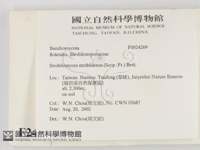 登錄號:F0024269藏品圖，第2張