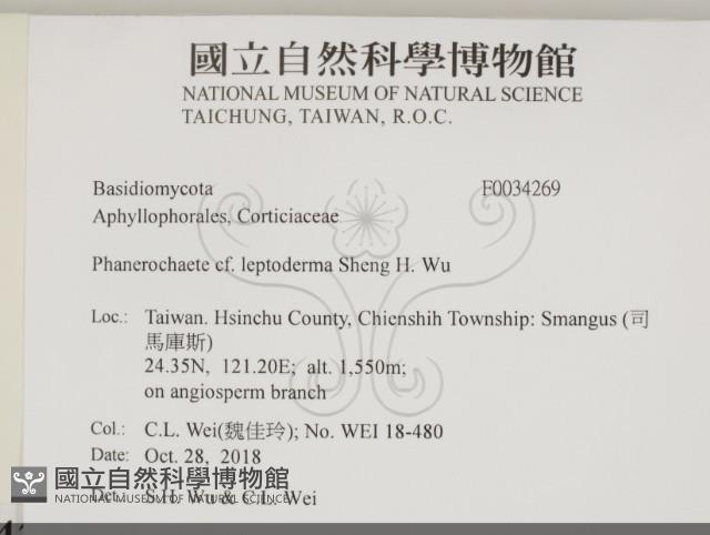 登錄號:F0034269藏品圖，第2張