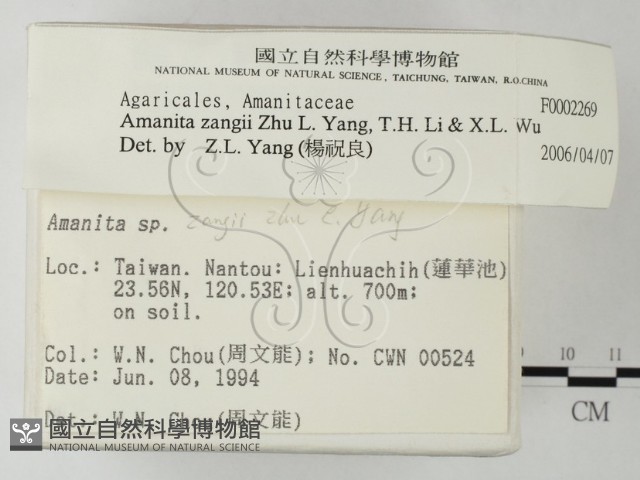 登錄號:F0002269藏品圖，第2張