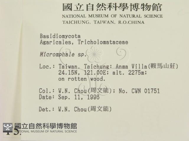 登錄號:F0005269藏品圖，第2張