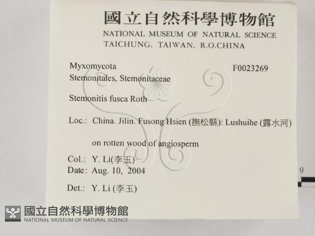 登錄號:F0023269藏品圖，第2張