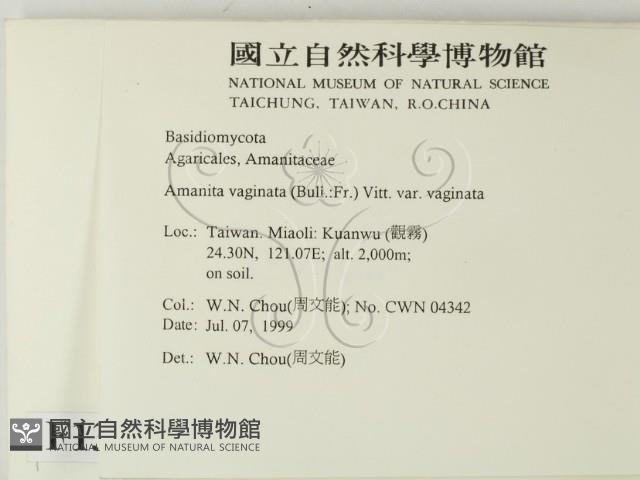 登錄號:F0013269藏品圖，第2張